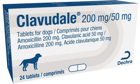 Clavudale 250 mg tablets for dogs
