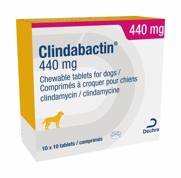 Clindabactin 440mg Tablets