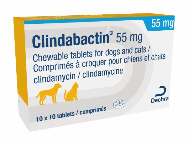 Clindabactin 55mg Tablets