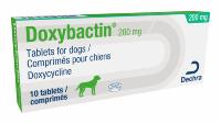 Doxybactin 200 mg Tablets