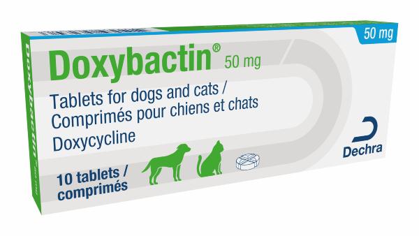 Doxybactin 50 mg Tablets