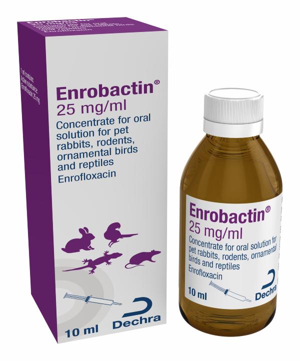 Enrobactin Oral Solution 10 ml