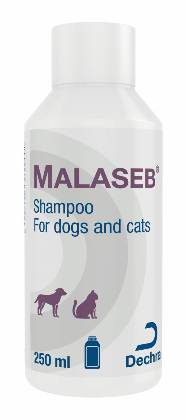 Shampoo for dogs and cats