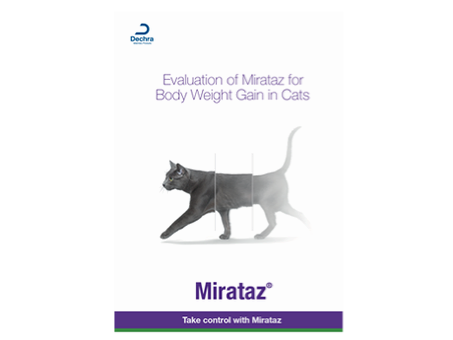 Evaluation of Mirataz for Body Weight Gain in Cats