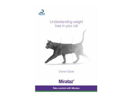 Mirataz Owner Brochure