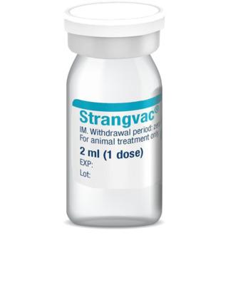 Strangvac Suspension for Injection for Horses and Ponies