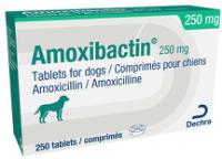 Amoxibactin 250 mg tablets for dogs