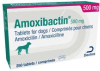 Amoxibactin 500 mg tablets for dogs