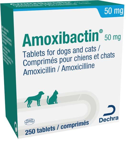 Amoxibactin 50 mg tablets for dogs and cats