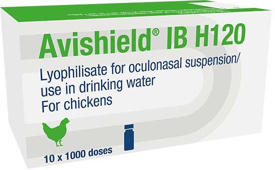 IB H120, lyophilisate for oculonasal suspension/use in drinking water, for chickens