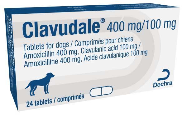 Clavudale 500 mg tablets for dogs
