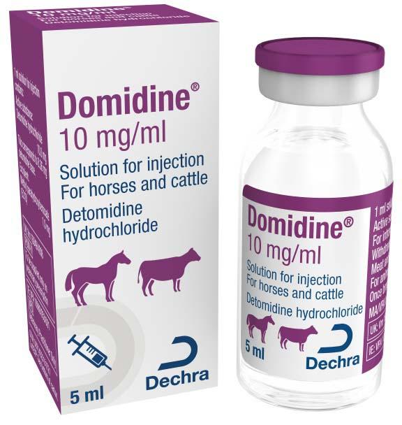 10 mg/ml solution for injection for horses and cattle