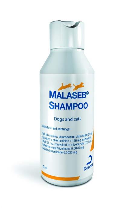 Shampoo for dogs and cats