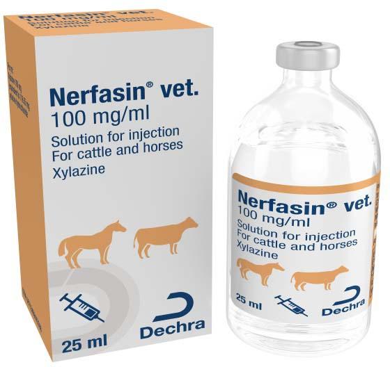 Nerfasin 100 mg/ml