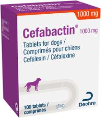 Cefabactin 1000 mg tablets for dogs