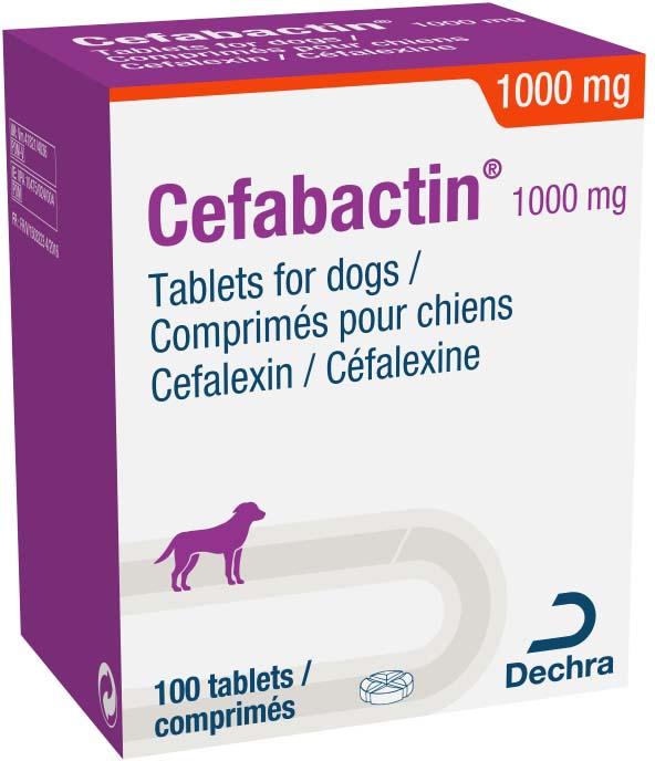 Cefabactin 1000 mg tablets for dogs