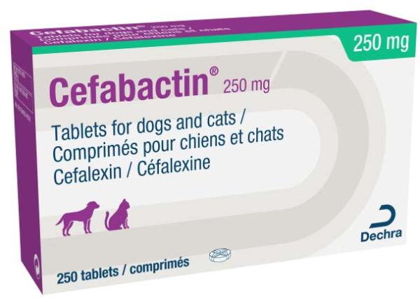 250 mg tablets for dogs and cats
