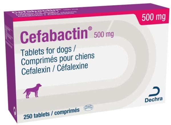 500 mg tablets for dogs