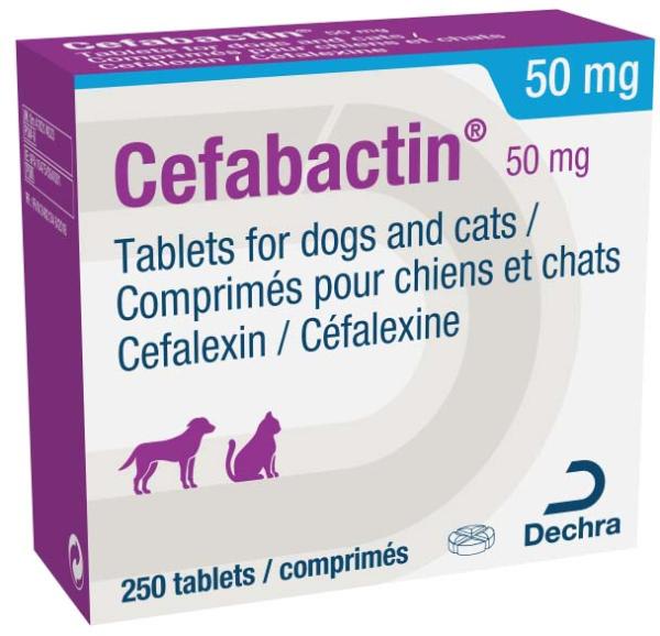 Cefabactin 50 mg tablets for dogs and cats