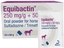 Equibactin 250 mg/g + 50 mg/g oral powder for horses