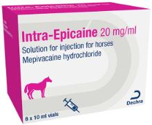 Intra-Epicaine® 20mg/ml solution for injection for horses